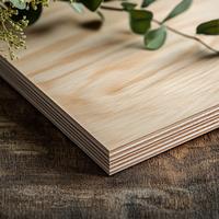 plywood Plywood - Image 1